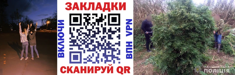 Наркошоп Кяхта Амфетамин  MEGA как зайти  Гашиш  Мефедрон 